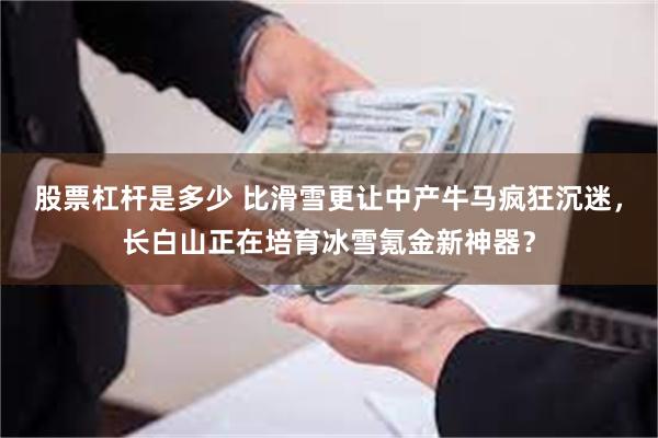 股票杠杆是多少 比滑雪更让中产牛马疯狂沉迷，长白山正在培育冰雪氪金新神器？