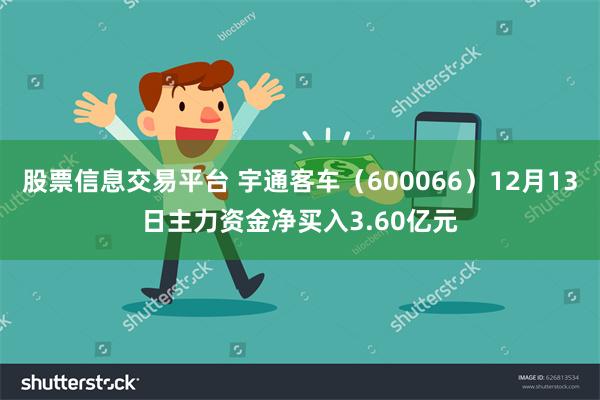 股票信息交易平台 宇通客车（600066）12月13日主力资金净买入3.60亿元